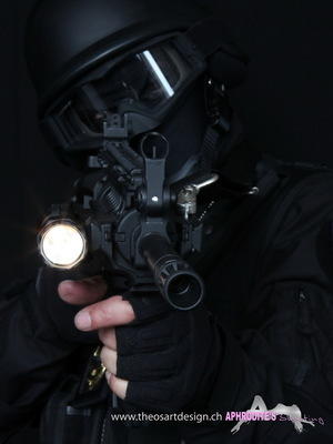 41