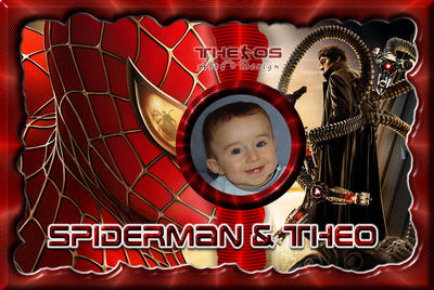 spiderman 2004