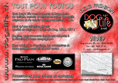 projet flyer 2005 2 FINAL